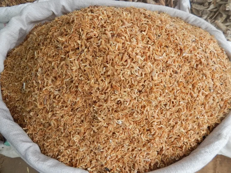 দেশি চিংড়ি রেগুলার