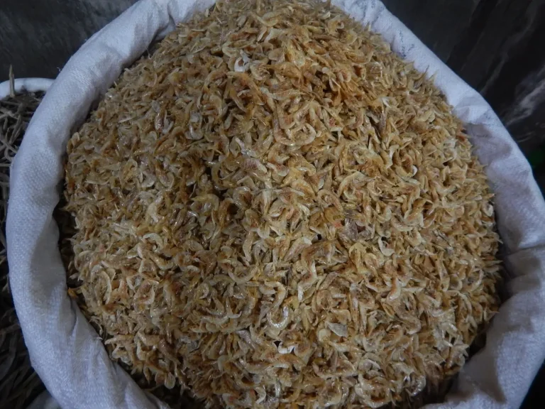 ভোলা চিংড়ি প্রিমিয়াম 