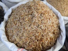 টাইগার চিংড়ি রেগুলার