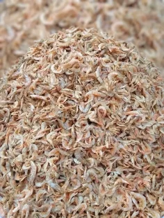 টাইগার চিংড়ি প্রিমিয়াম