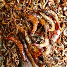 গলদা চিংড়ি রেগুলার