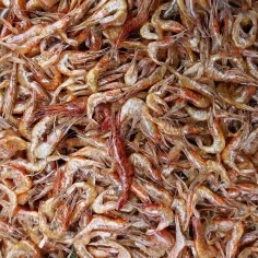 দেশি চিংড়ি প্রিমিয়াম