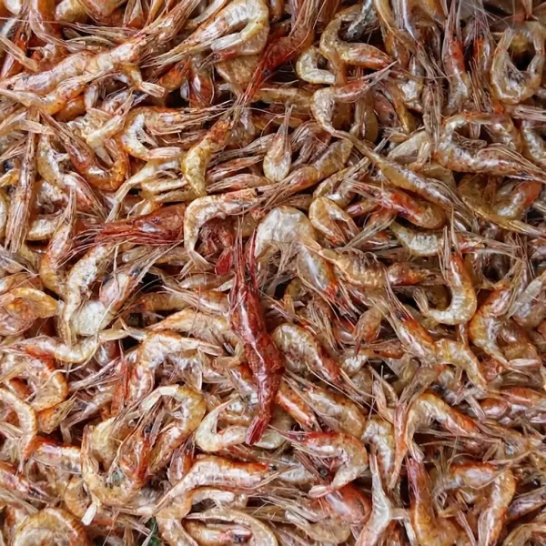 দেশি চিংড়ি প্রিমিয়াম