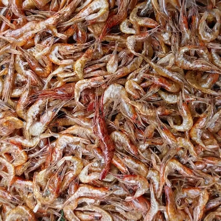 দেশি চিংড়ি প্রিমিয়াম