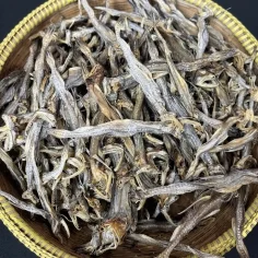 লইট্যা রেগুলার